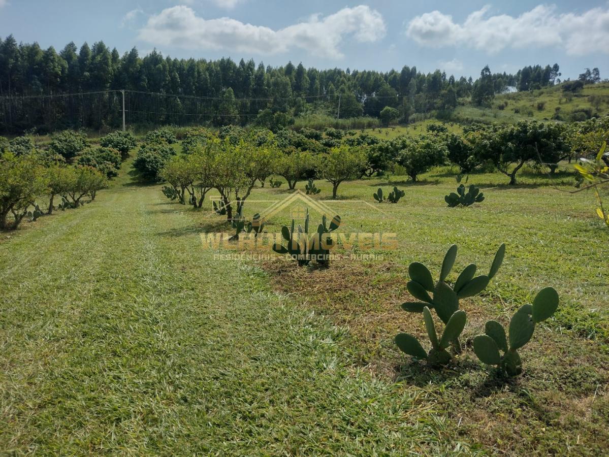 Sítio, 5 m² - Foto 41