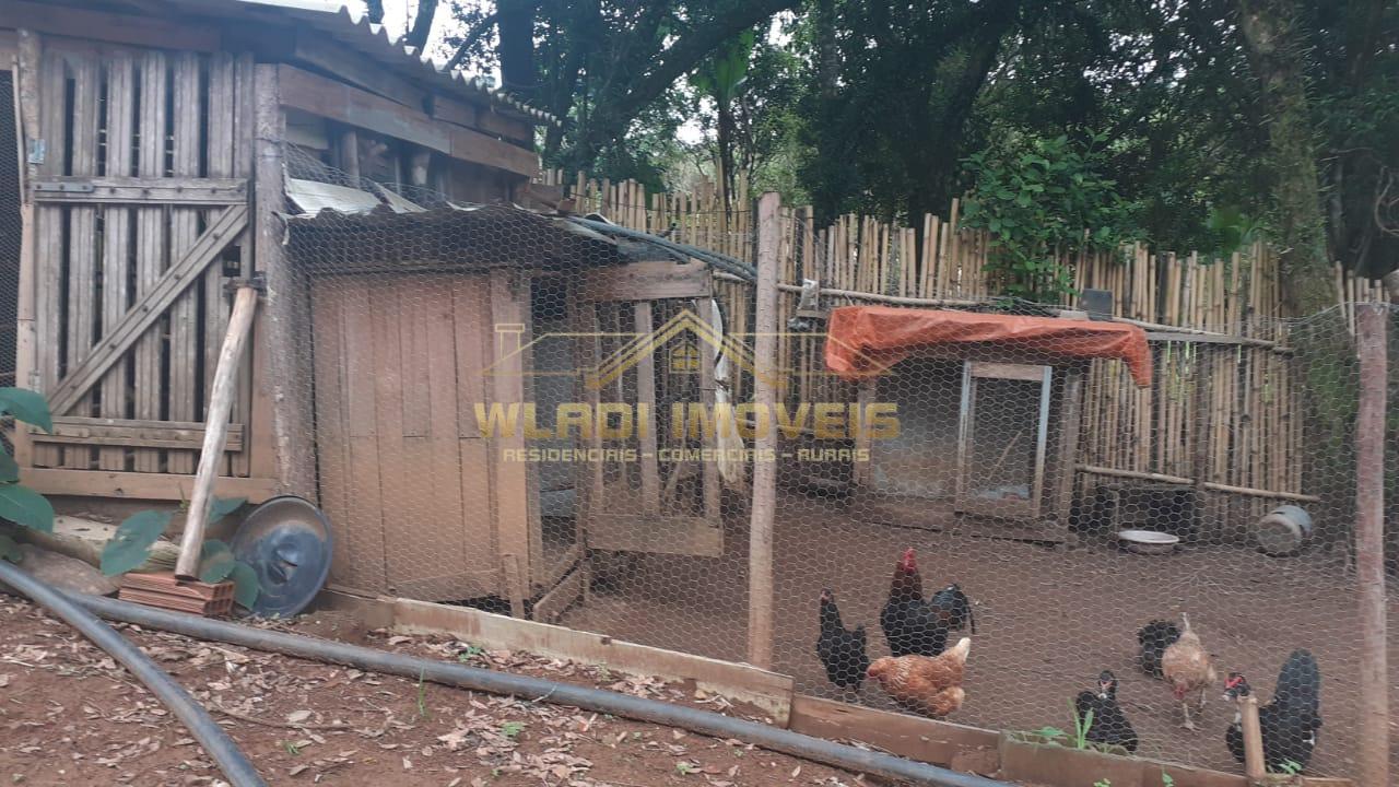 Chácara, 2 quartos, 1235 m² - Foto 33
