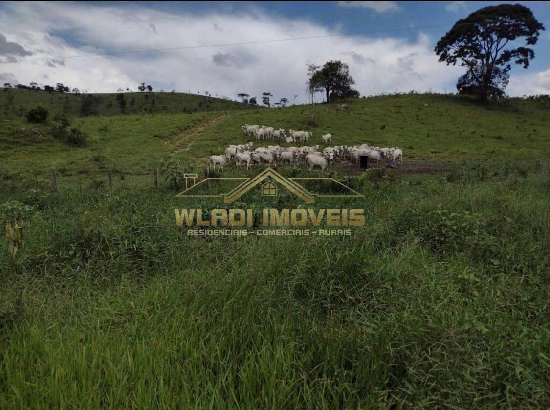 Fazenda, 499 m² - Foto 19