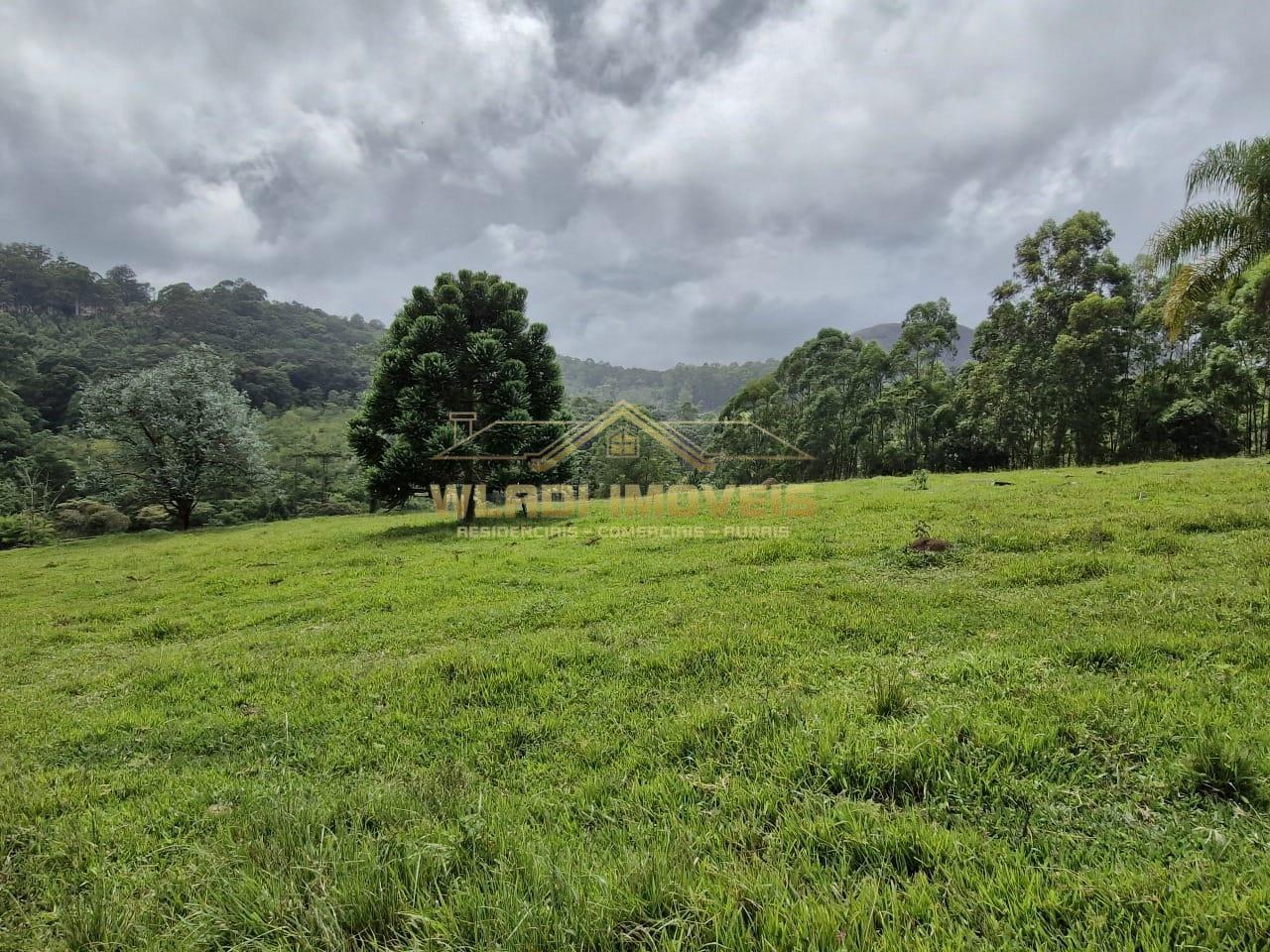 Sítio, 20 m² - Foto 13