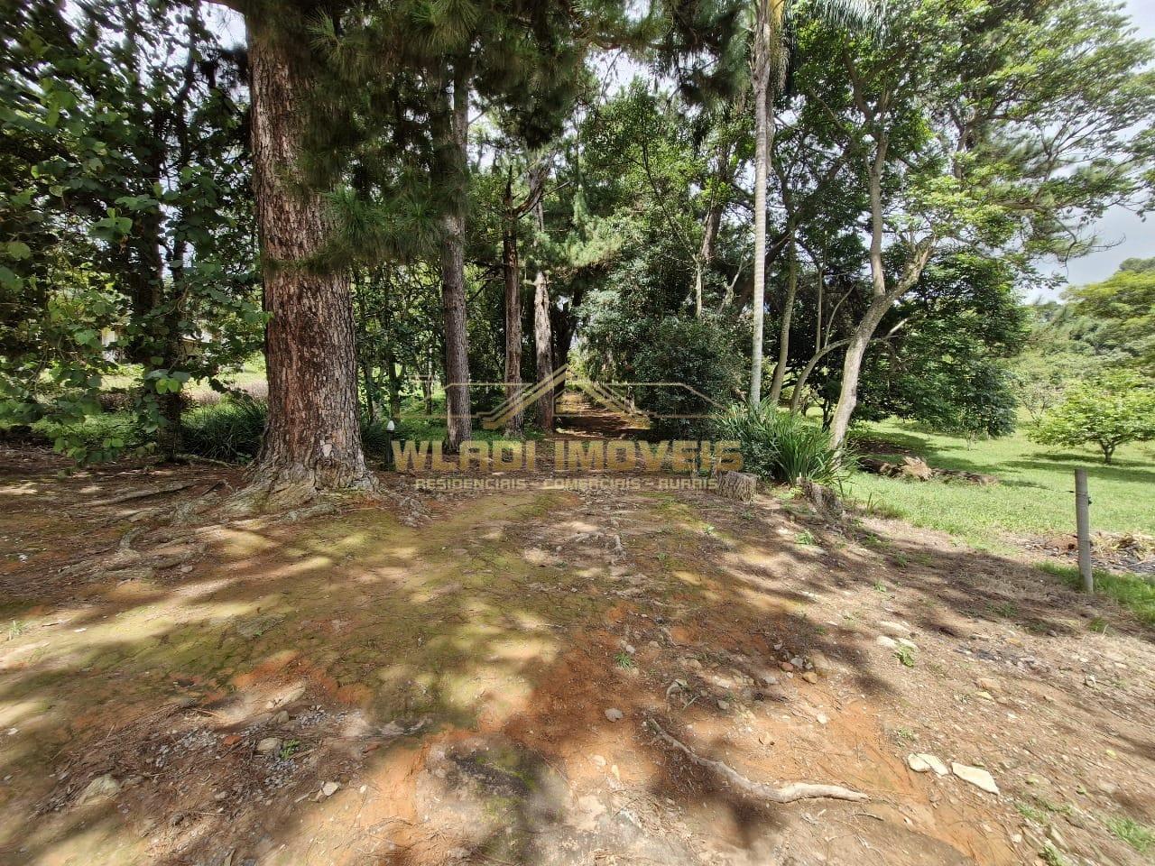 Sítio, 20 m² - Foto 20