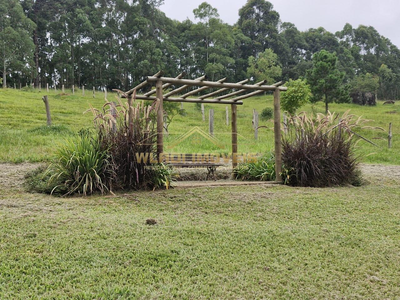 Sítio, 20 m² - Foto 7