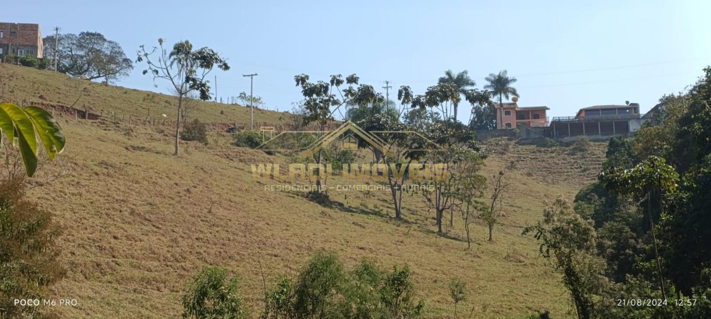 Chácara, 3 hectares - Foto 32