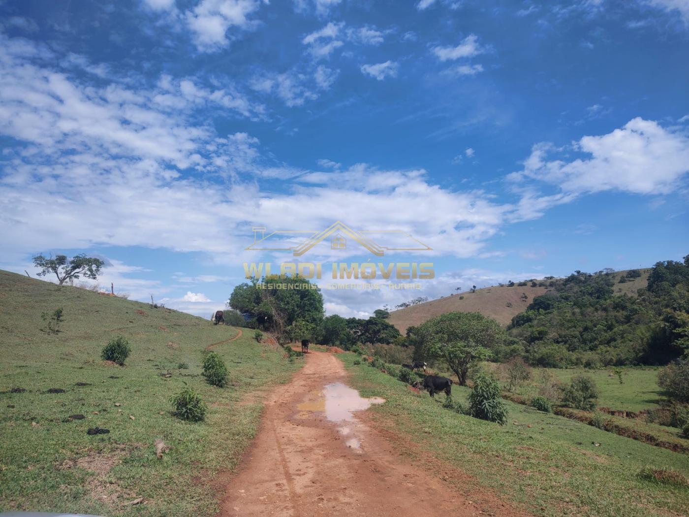 Sítio, 10 m² - Foto 7