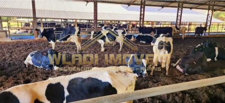 Fazenda, 196 m² - Foto 6