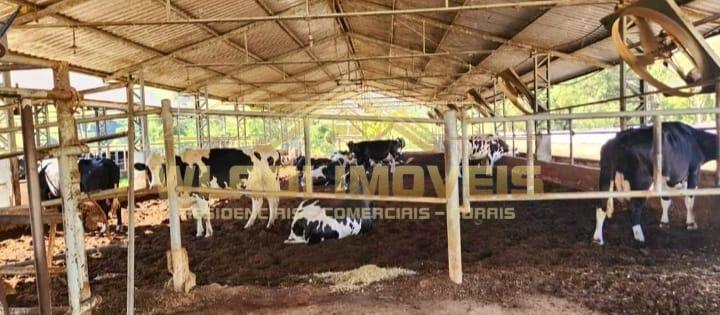 Fazenda, 196 m² - Foto 5