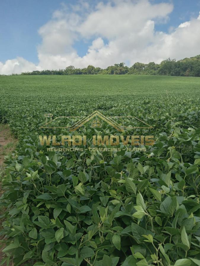 Sítio, 31 m² - Foto 1