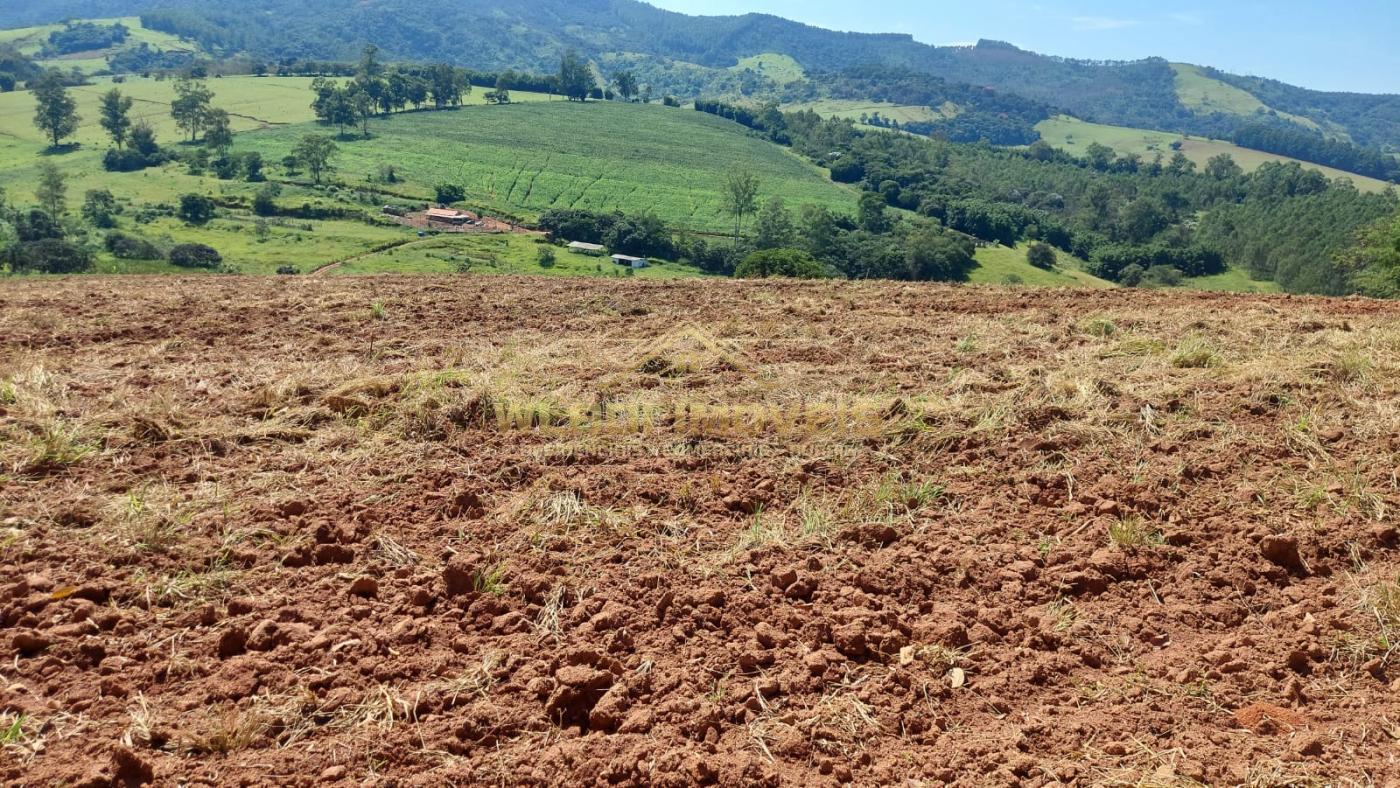 Sítio, 31 m² - Foto 7