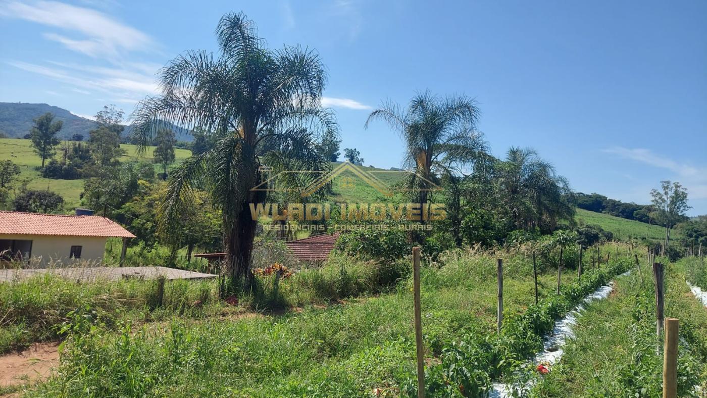 Sítio, 31 m² - Foto 6