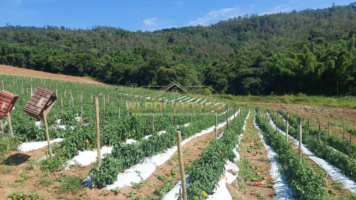 Sítio, 31 m² - Foto 12