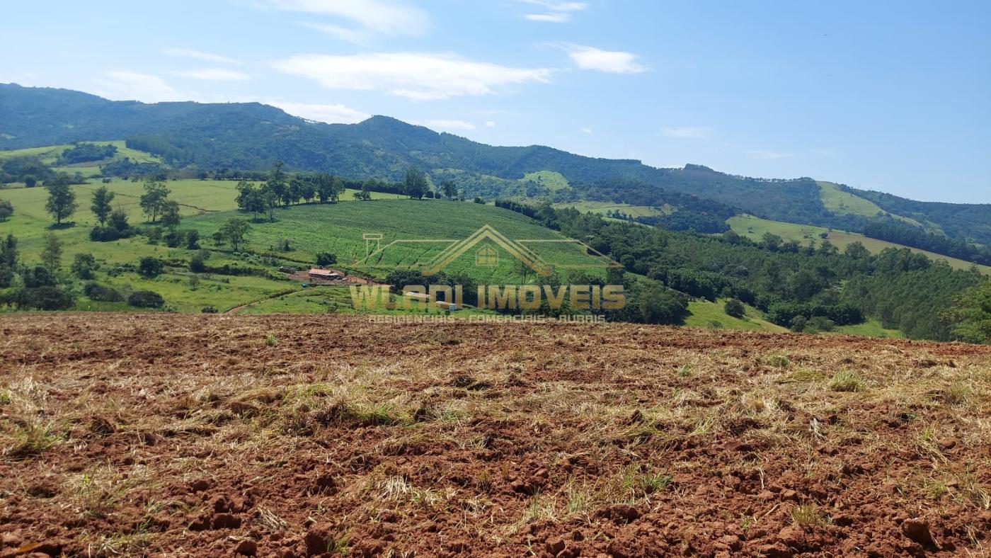 Sítio, 31 m² - Foto 13