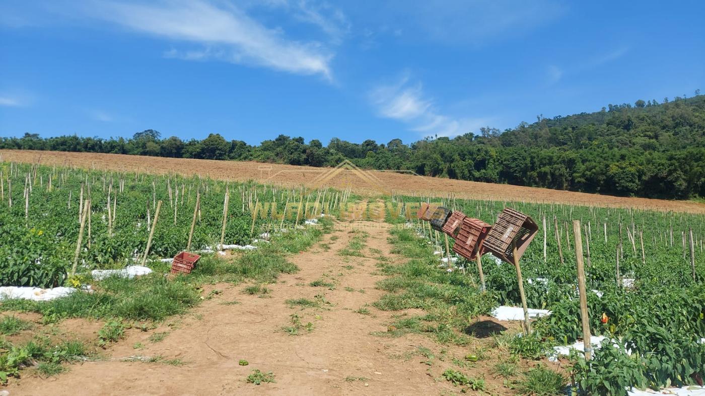 Sítio, 31 m² - Foto 15