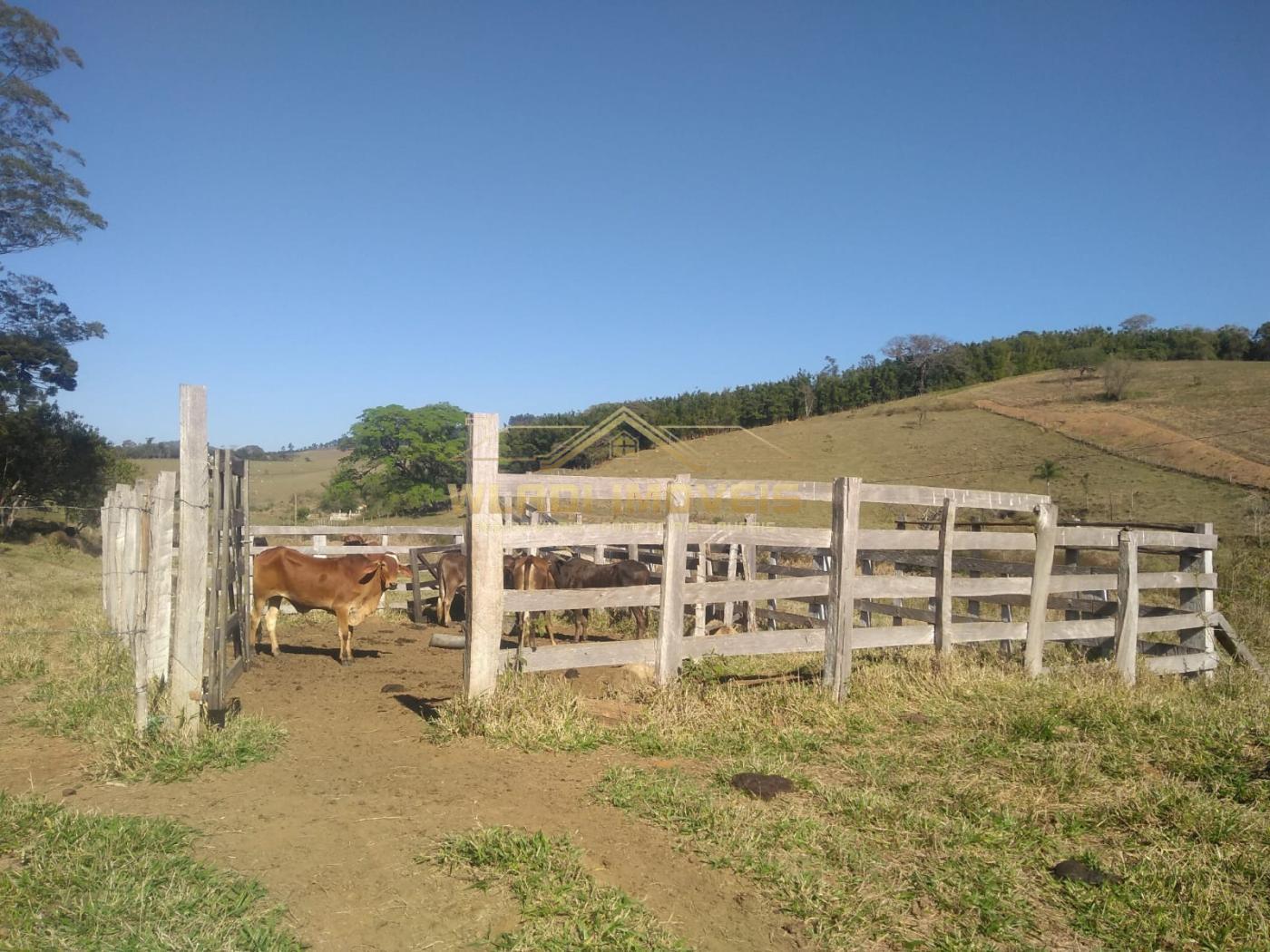 Sítio, 31 m² - Foto 17