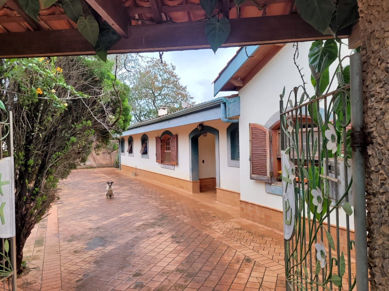 Casa, 4 quartos - Foto 20