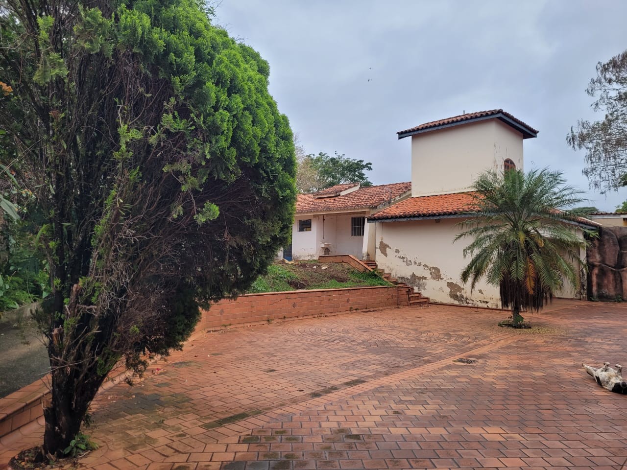 Casa, 4 quartos - Foto 19