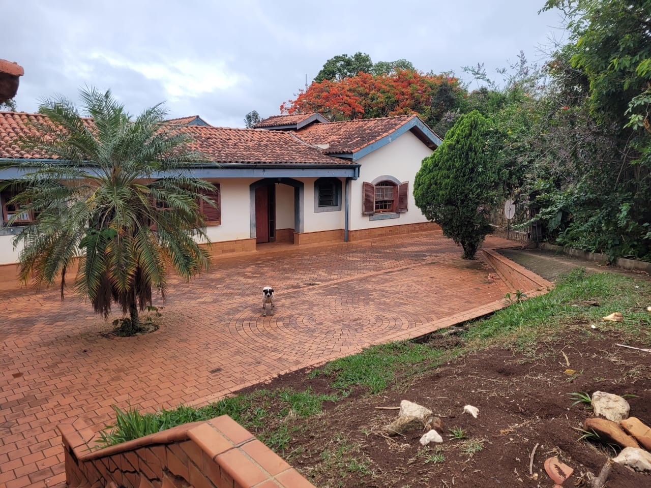 Casa, 4 quartos - Foto 34