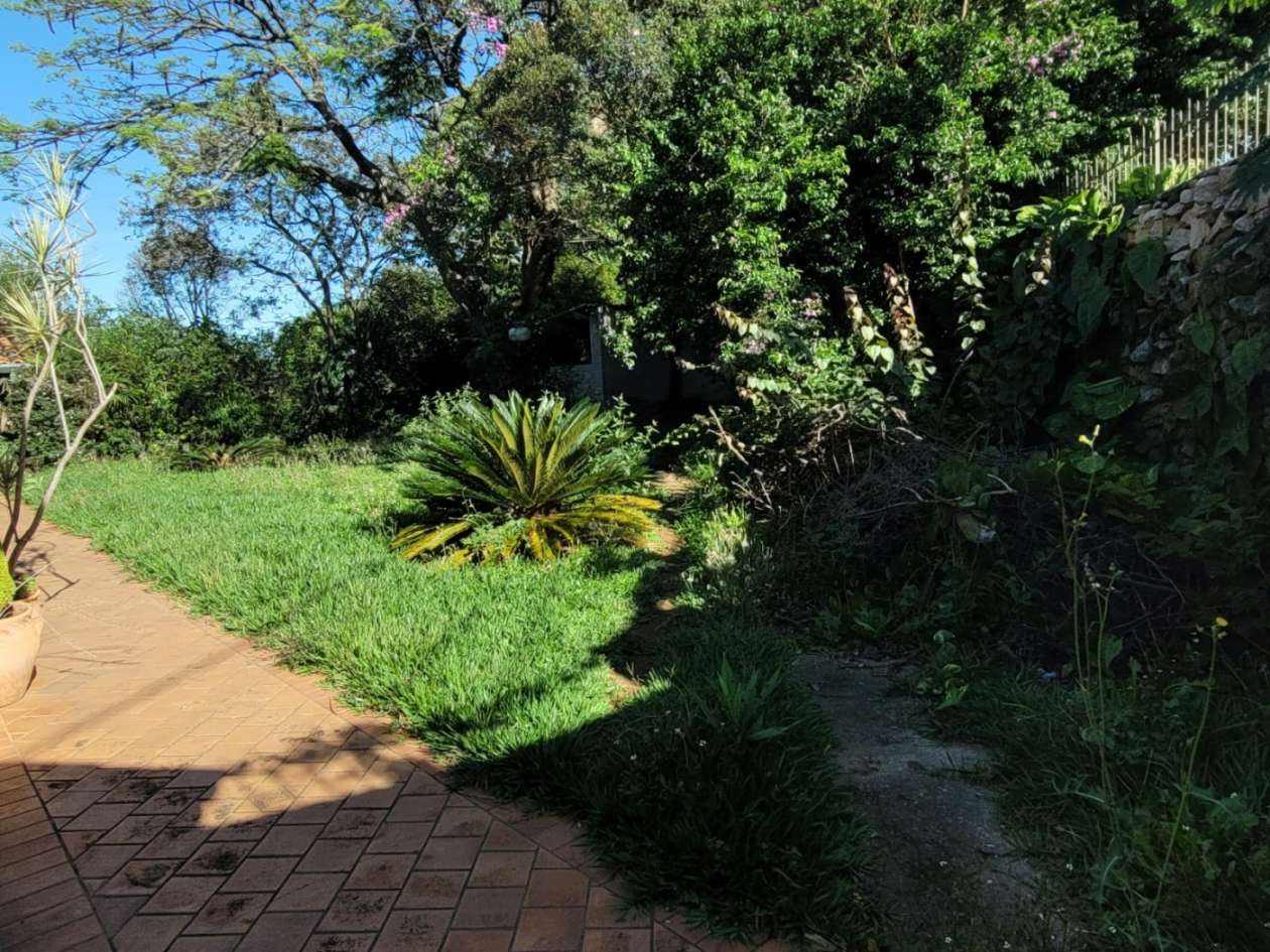 Casa, 4 quartos - Foto 38