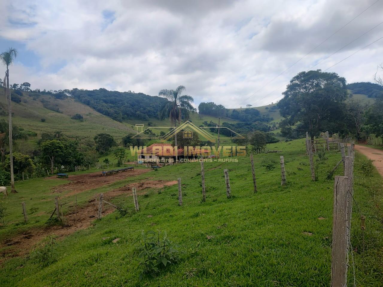 Sítio, 6 m² - Foto 7