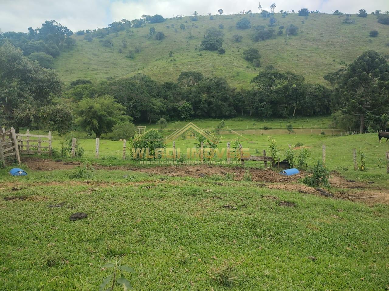 Sítio, 6 m² - Foto 3