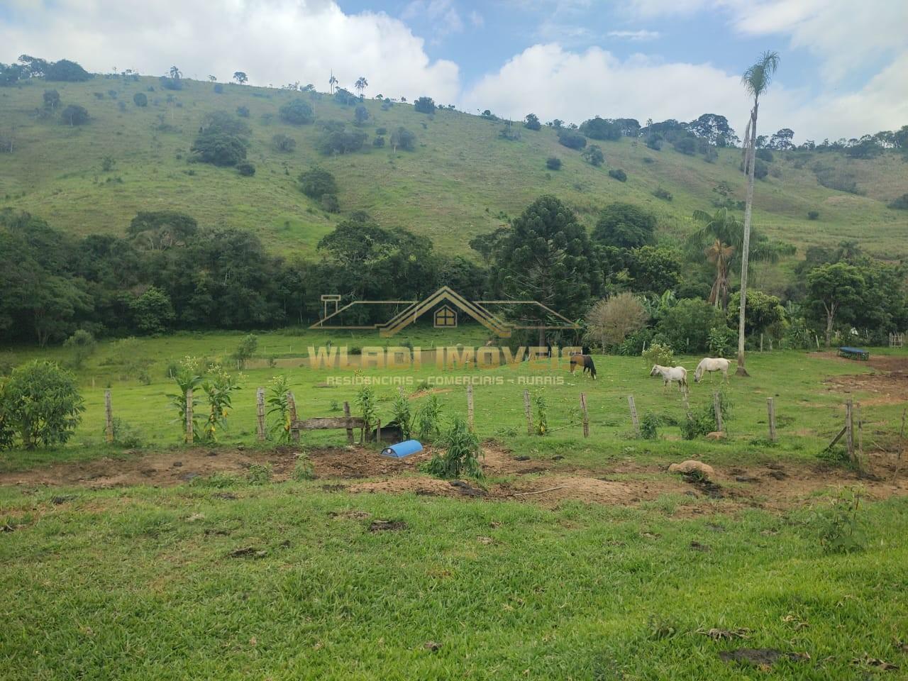 Sítio, 6 m² - Foto 1