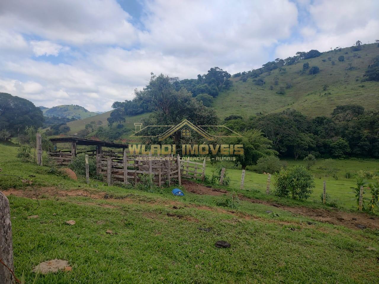 Sítio, 6 m² - Foto 13