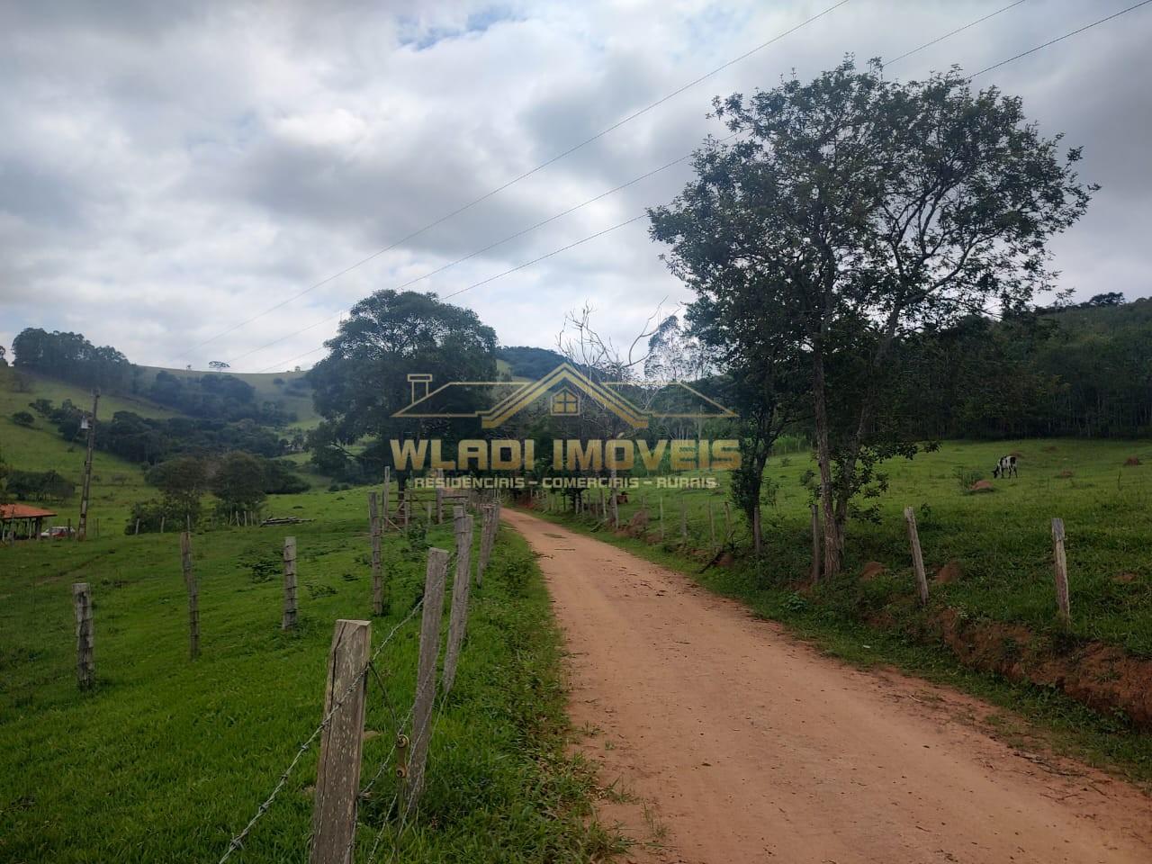 Sítio, 6 m² - Foto 12