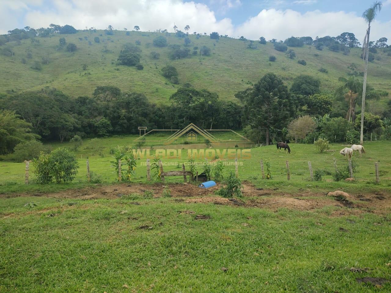 Sítio, 6 m² - Foto 16