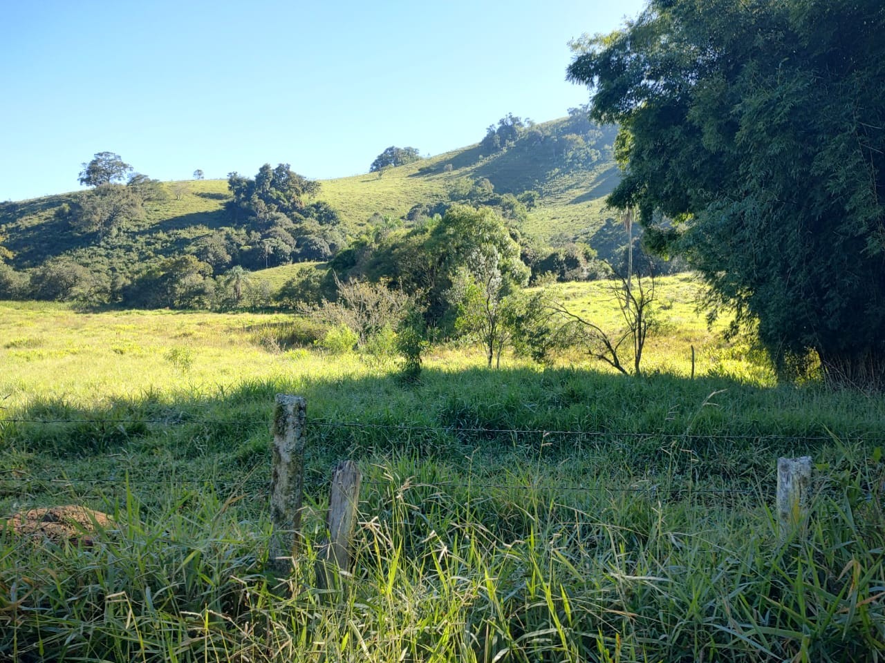 Terreno, 6 m² - Foto 12