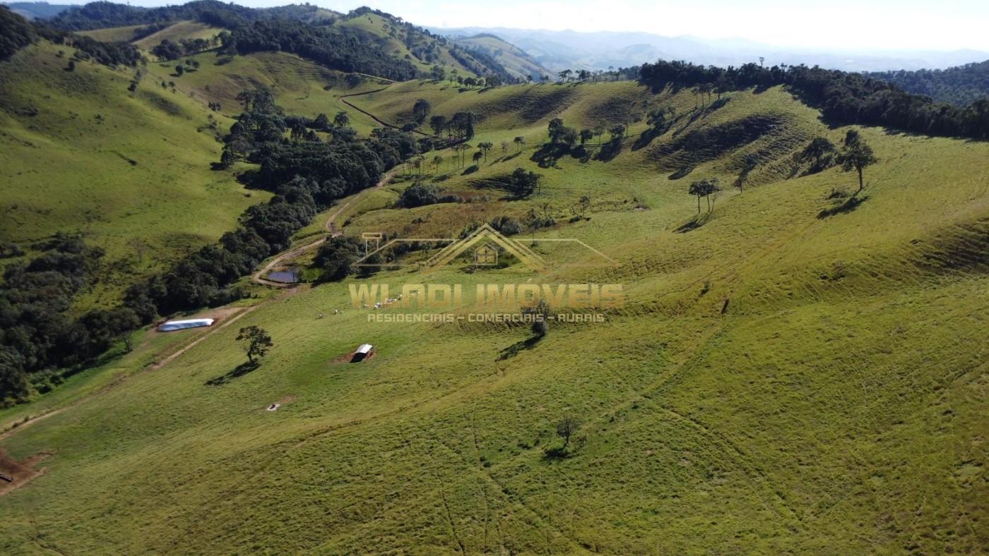 Fazenda, 100 m² - Foto 5