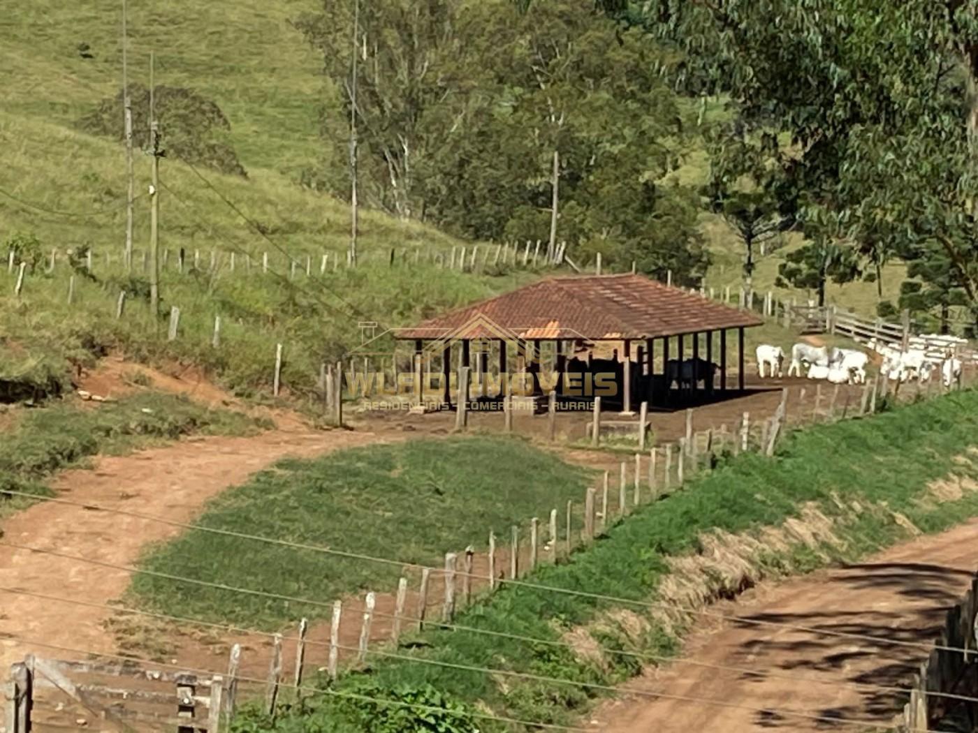 Fazenda, 100 m² - Foto 44