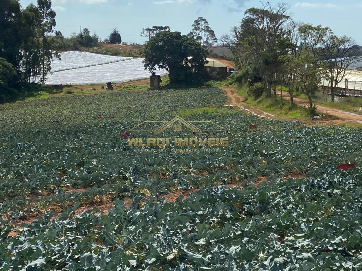 Fazenda, 70 m² - Foto 9