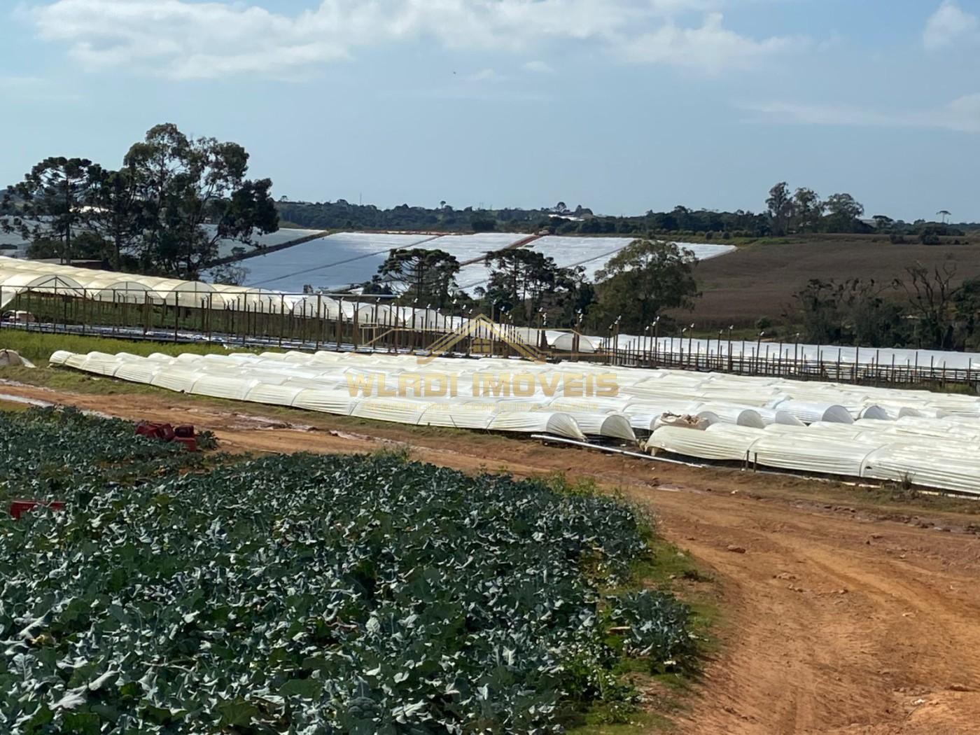 Fazenda, 70 m² - Foto 10