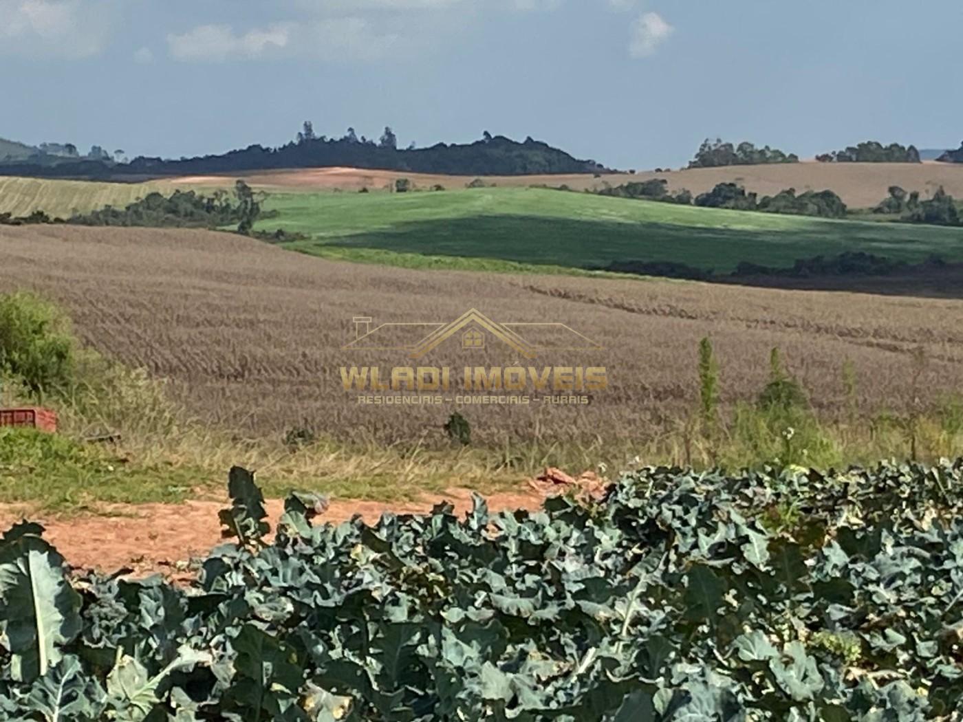 Fazenda, 70 m² - Foto 6