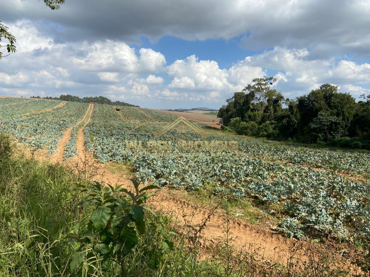 Fazenda, 70 m² - Foto 5