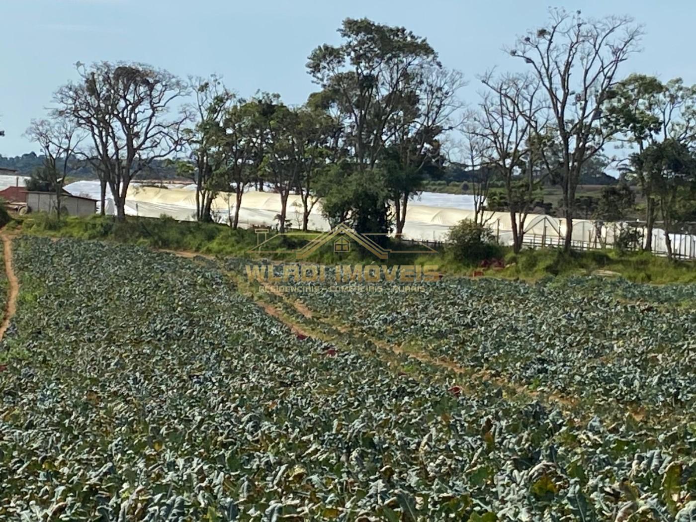 Fazenda, 70 m² - Foto 11