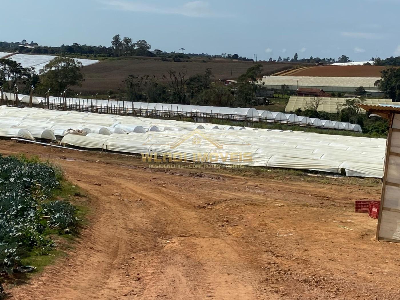 Fazenda, 70 m² - Foto 13