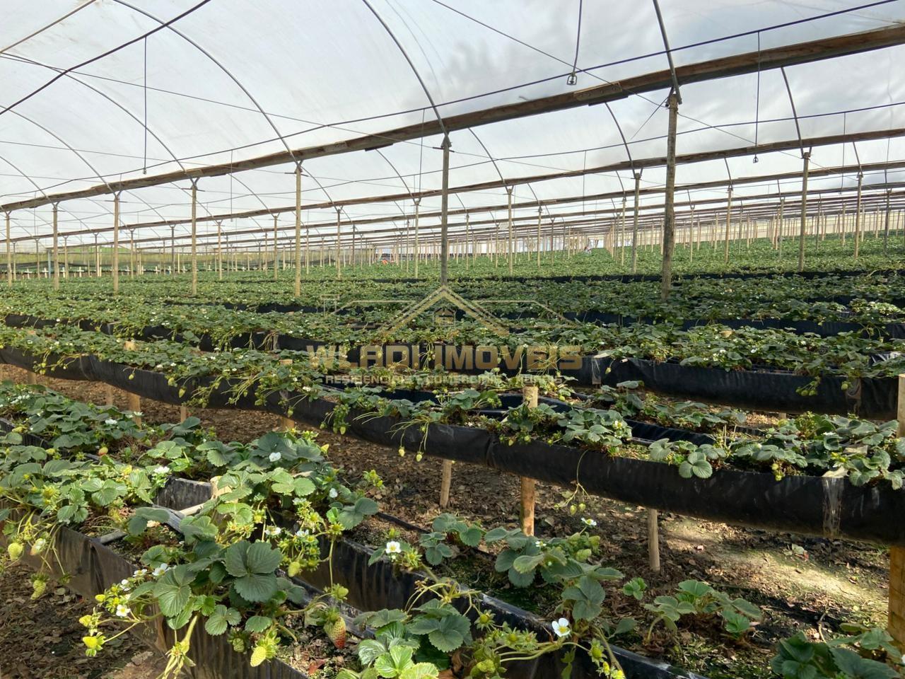 Fazenda, 70 m² - Foto 2