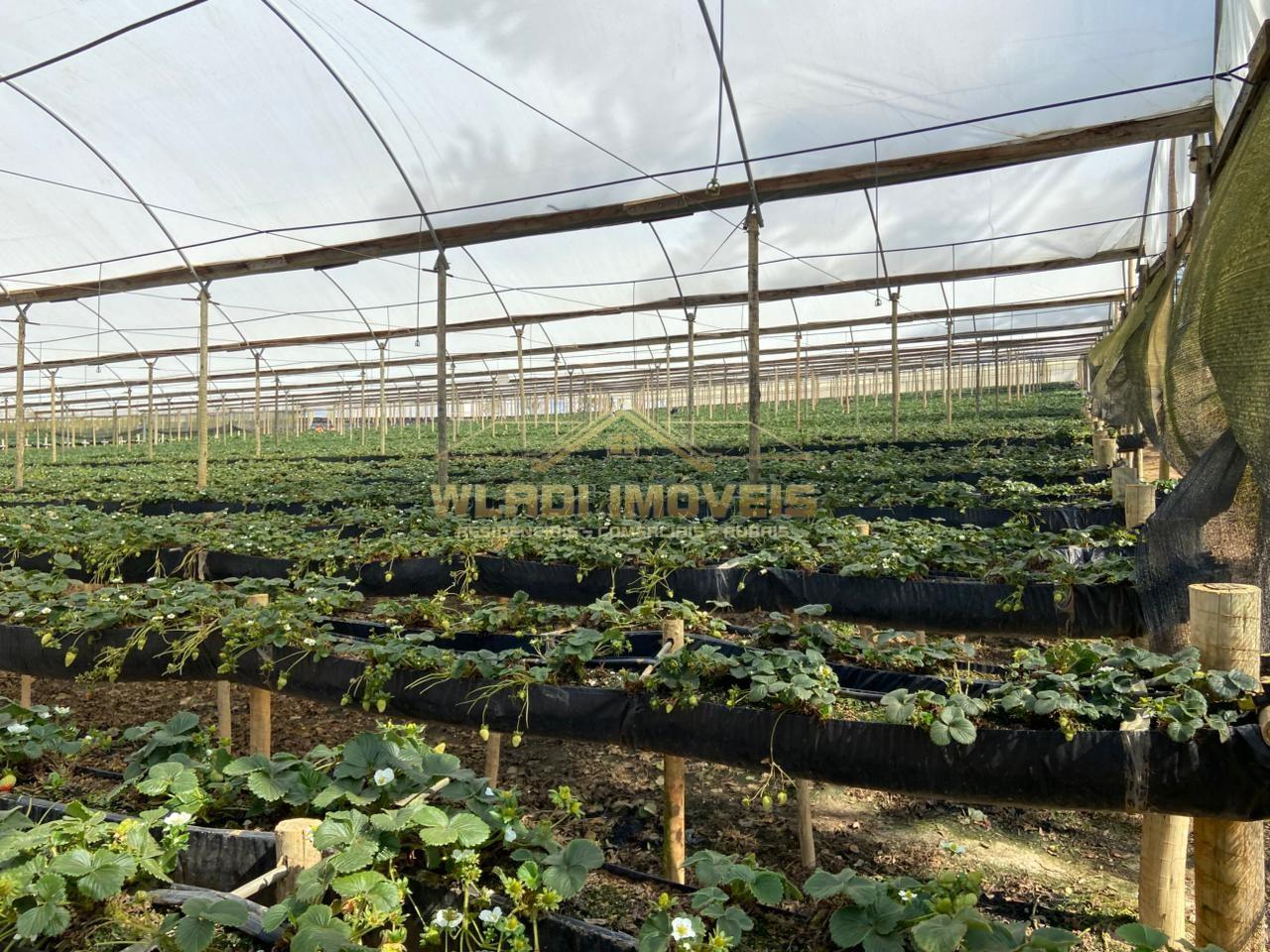 Fazenda, 70 m² - Foto 16