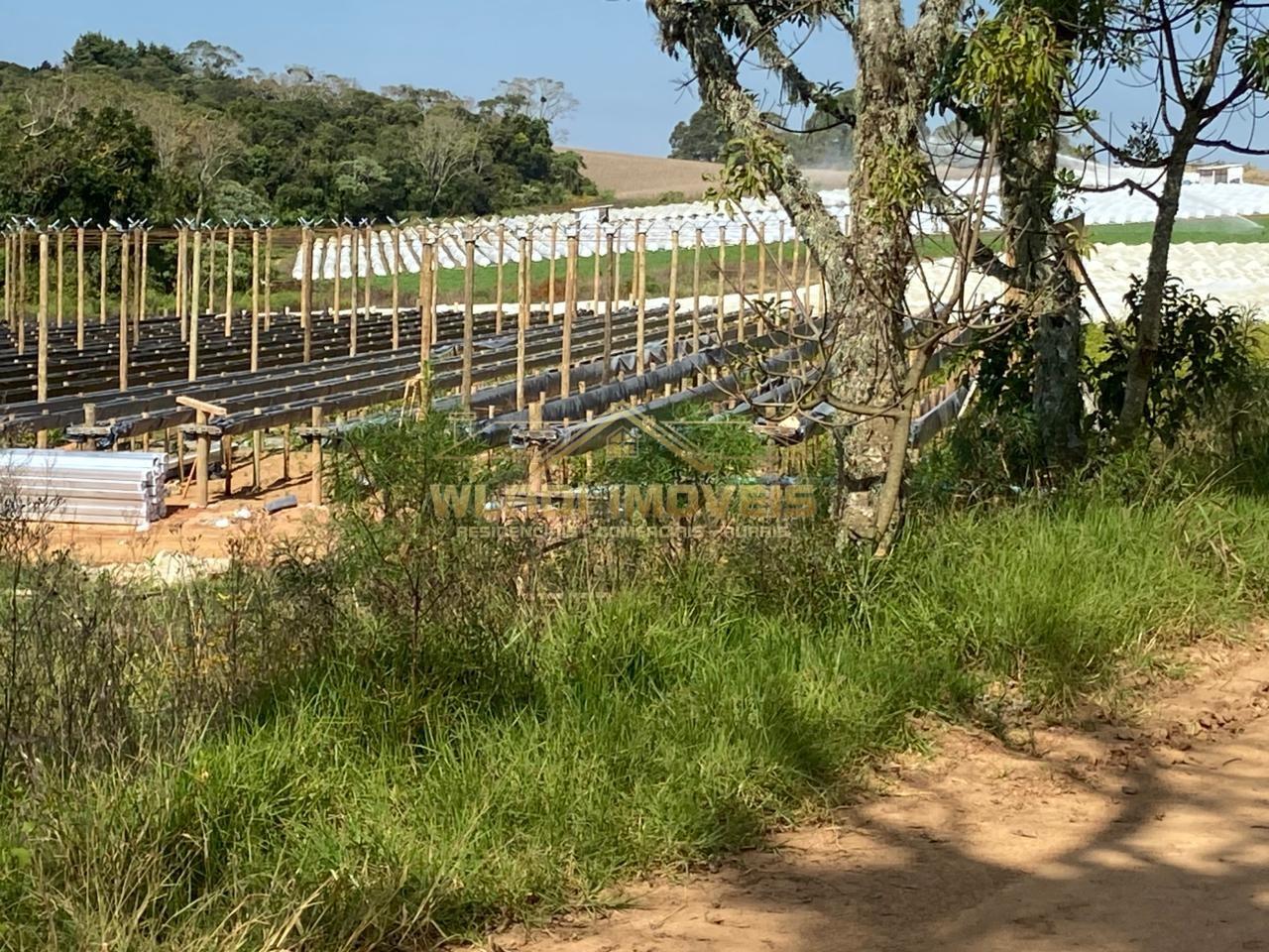 Fazenda, 70 m² - Foto 15