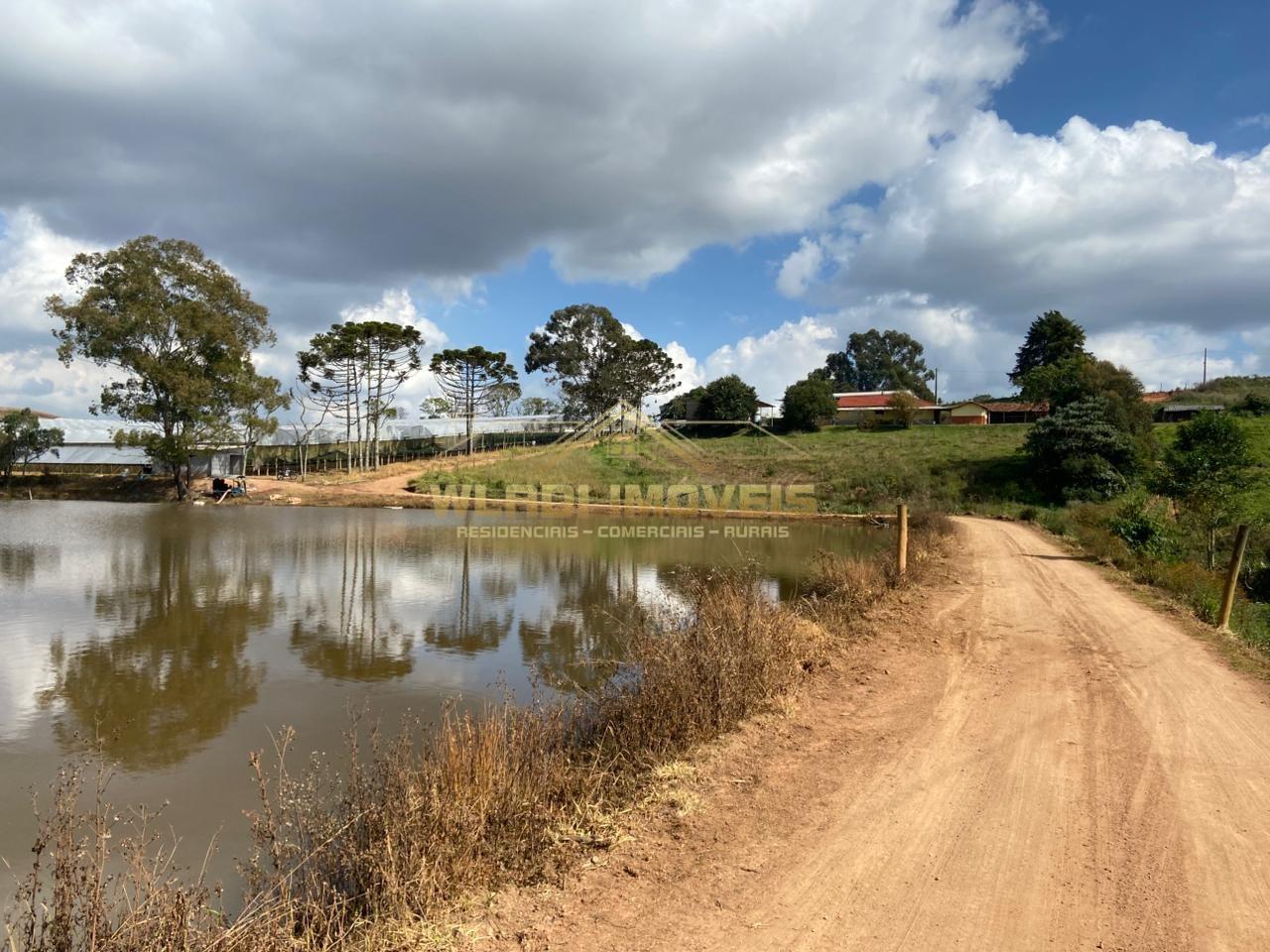 Fazenda, 70 m² - Foto 17