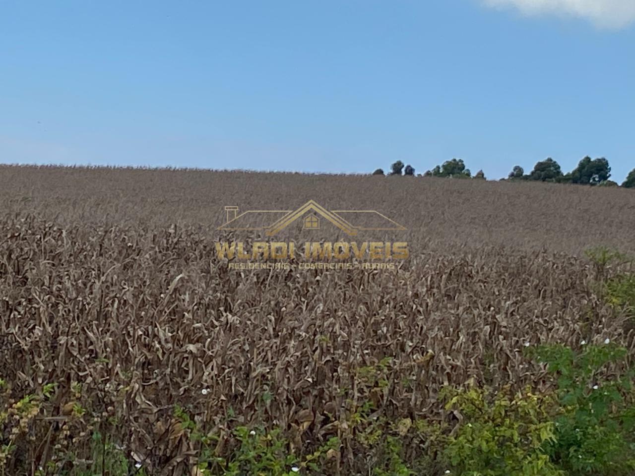 Fazenda, 70 m² - Foto 21