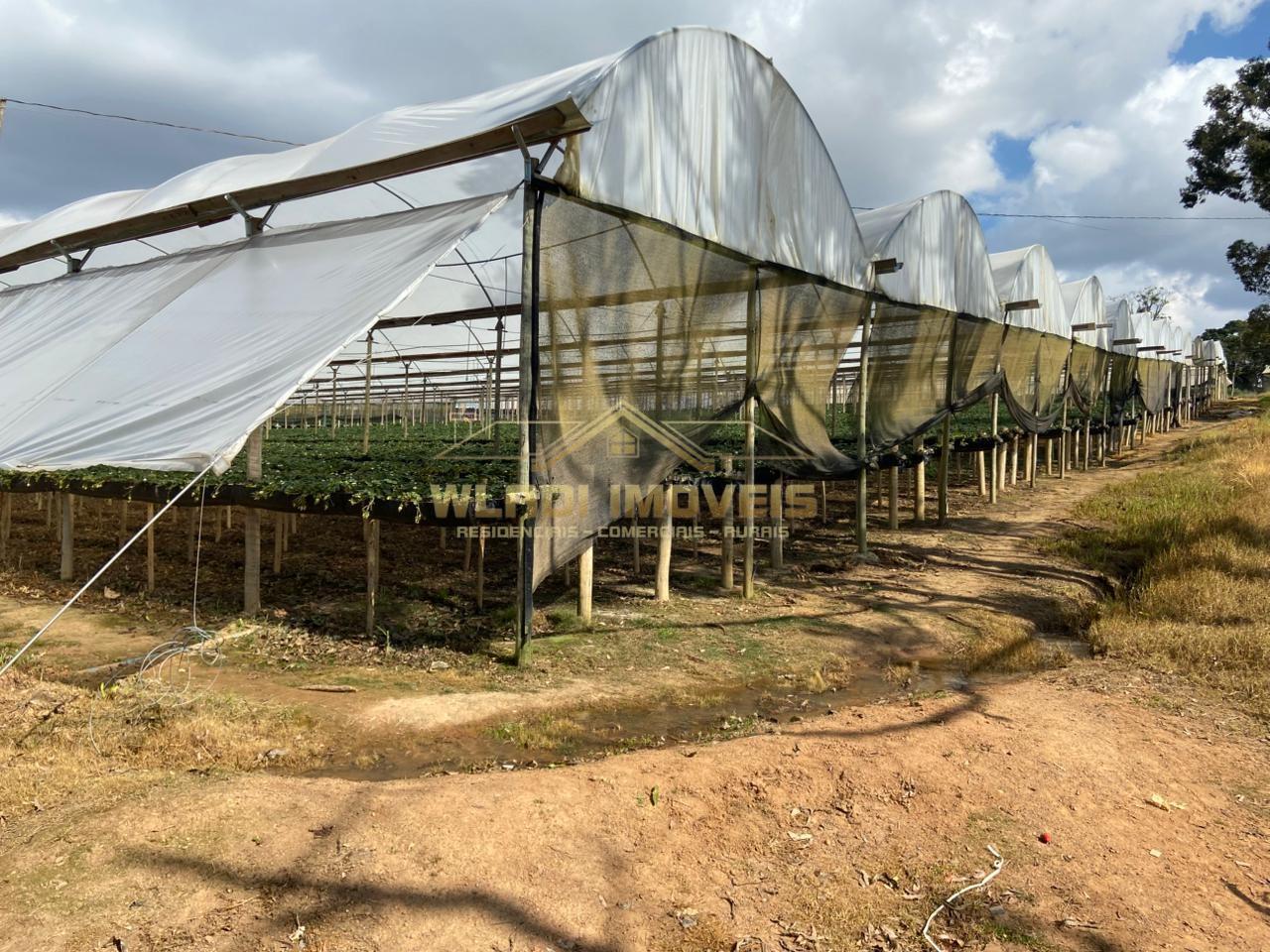 Fazenda, 70 m² - Foto 19