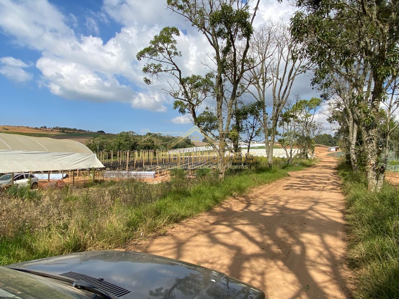 Fazenda, 70 m² - Foto 20