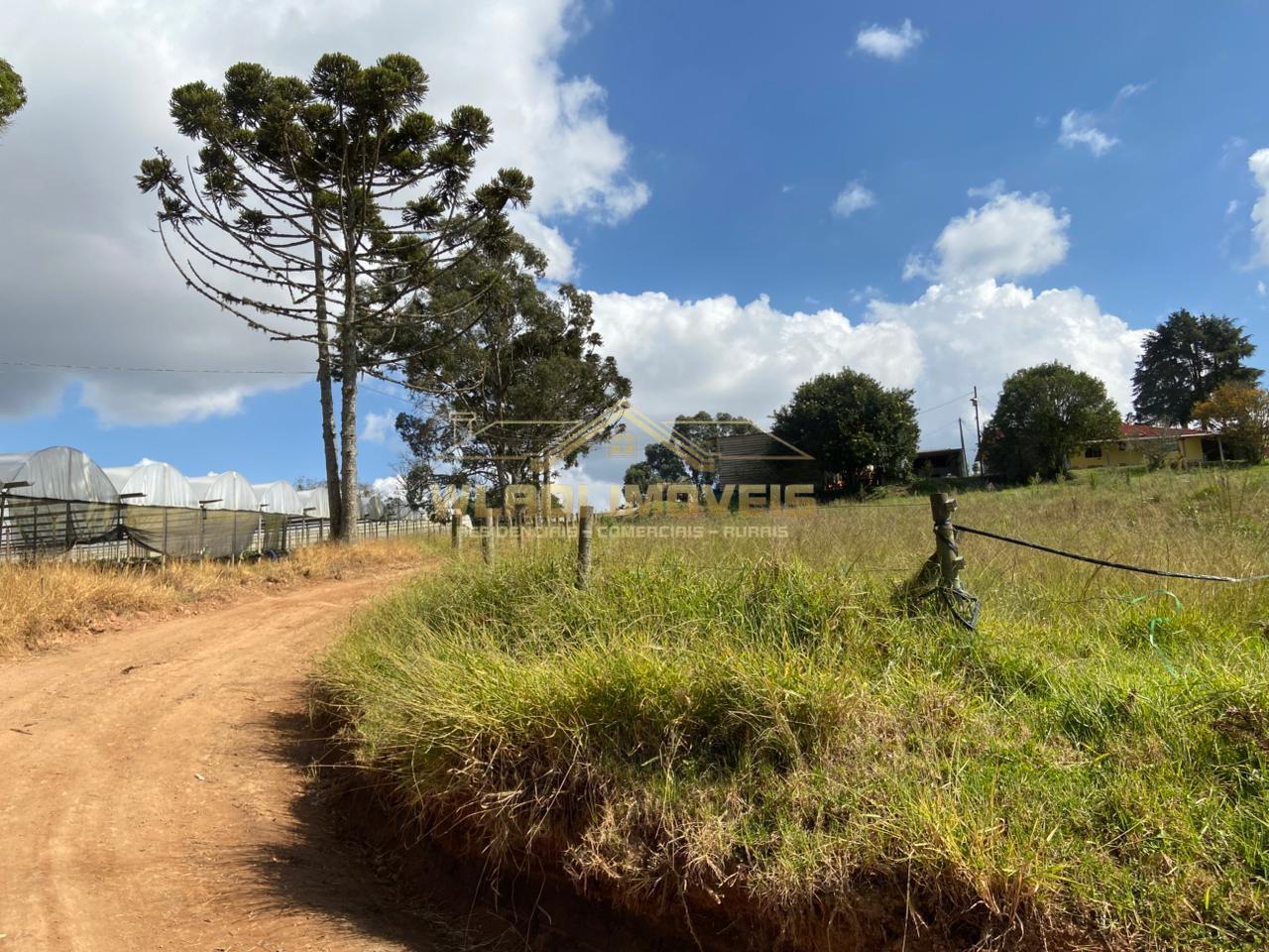 Fazenda, 70 m² - Foto 24