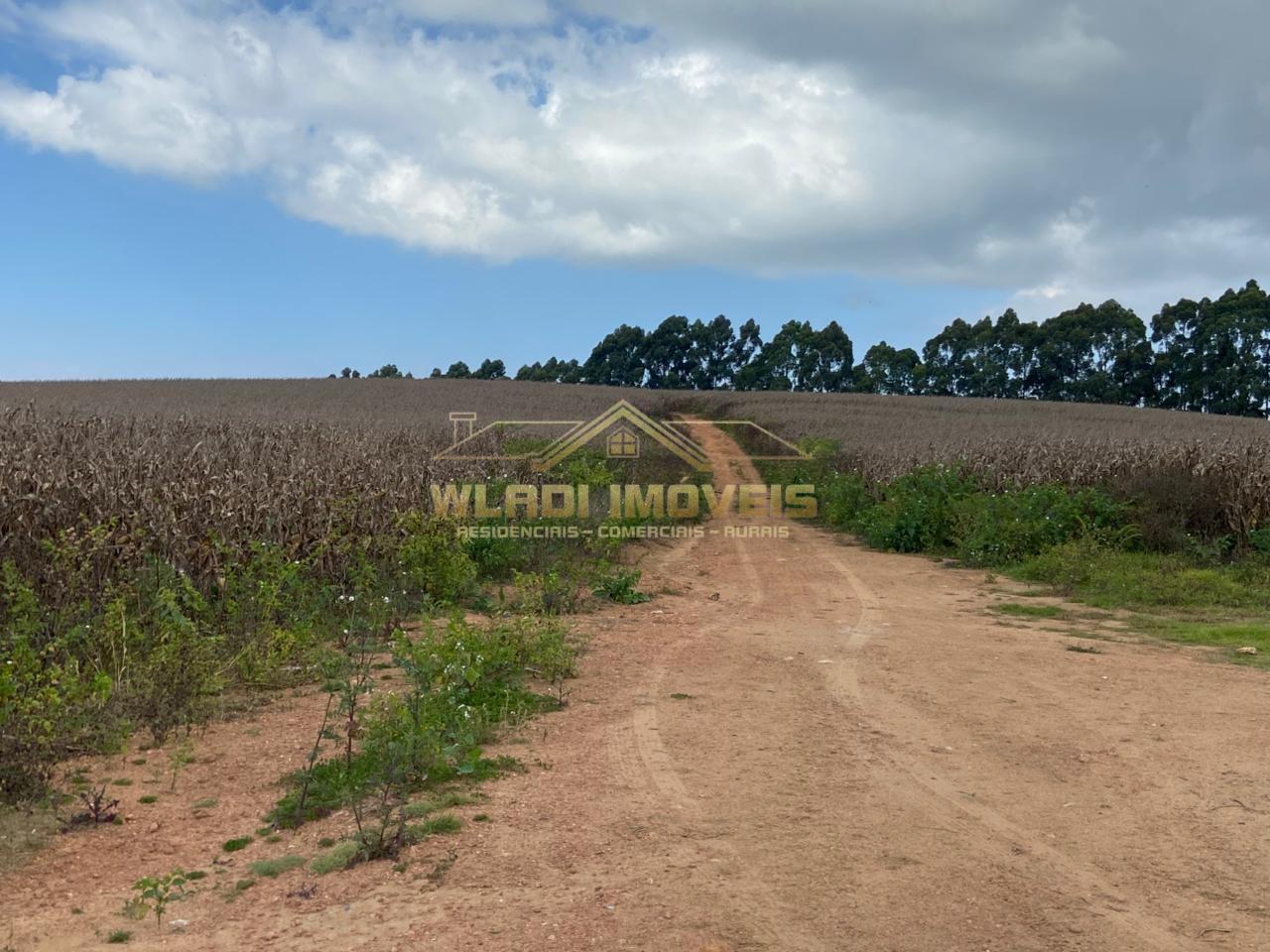 Fazenda, 70 m² - Foto 25