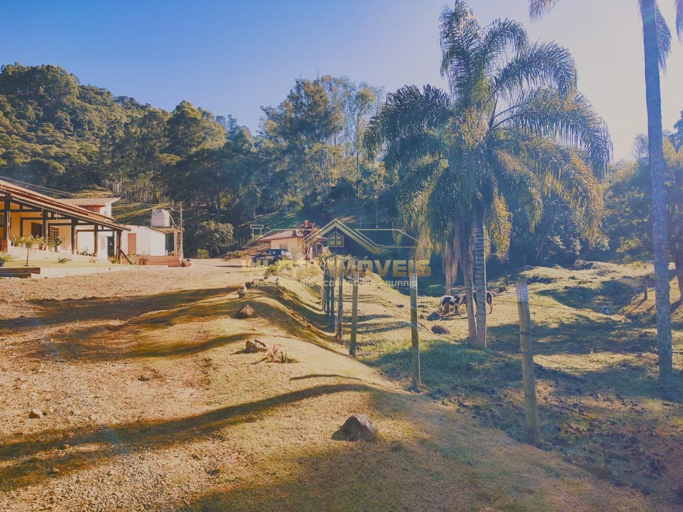 Sítio, 8 m² - Foto 10