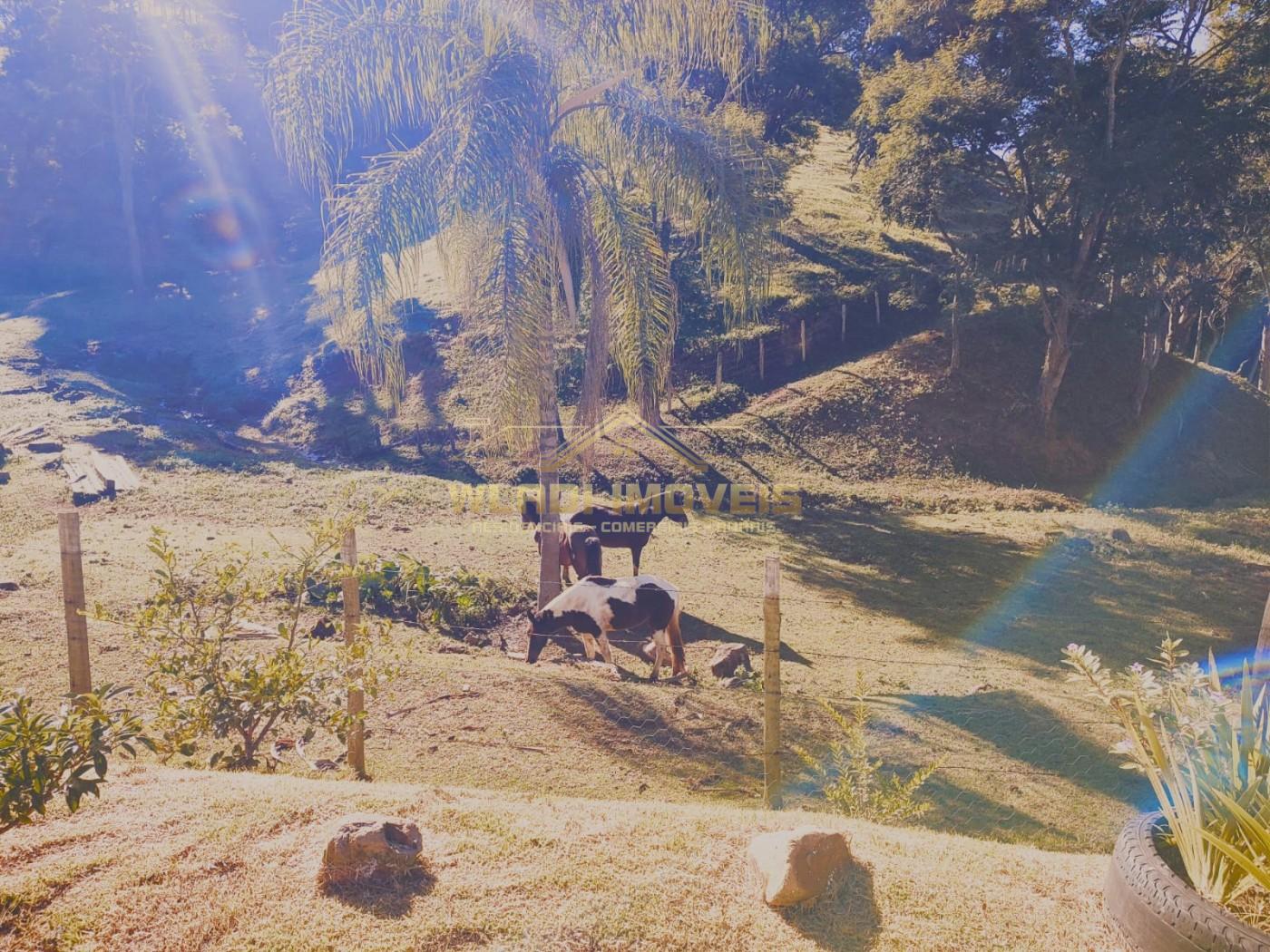 Sítio, 8 m² - Foto 1