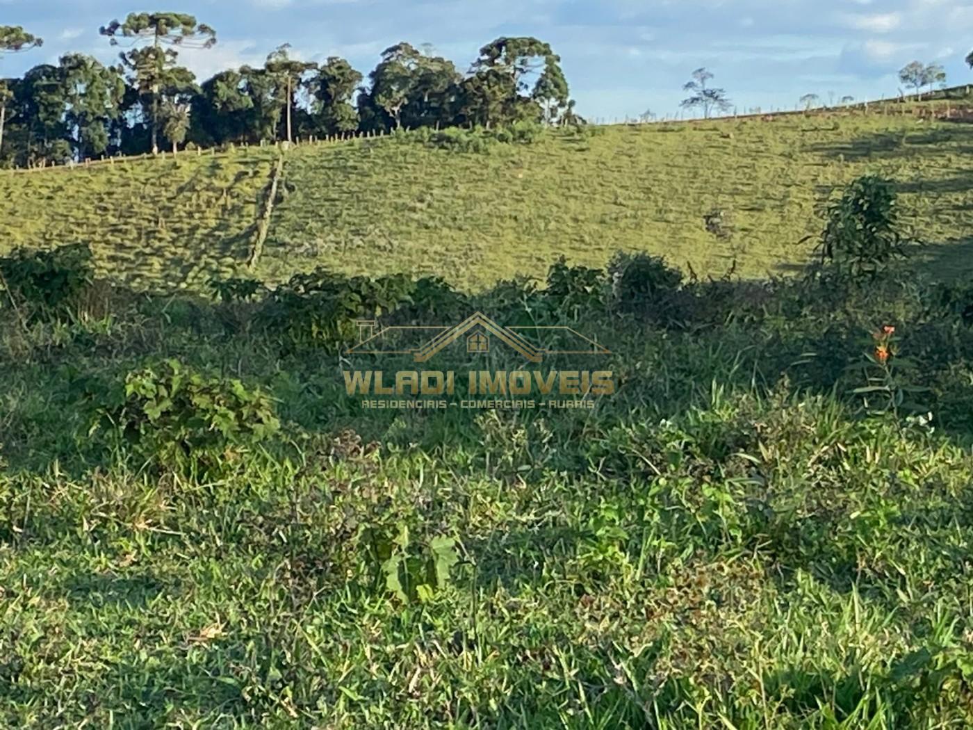 Terreno, 4 m² - Foto 13