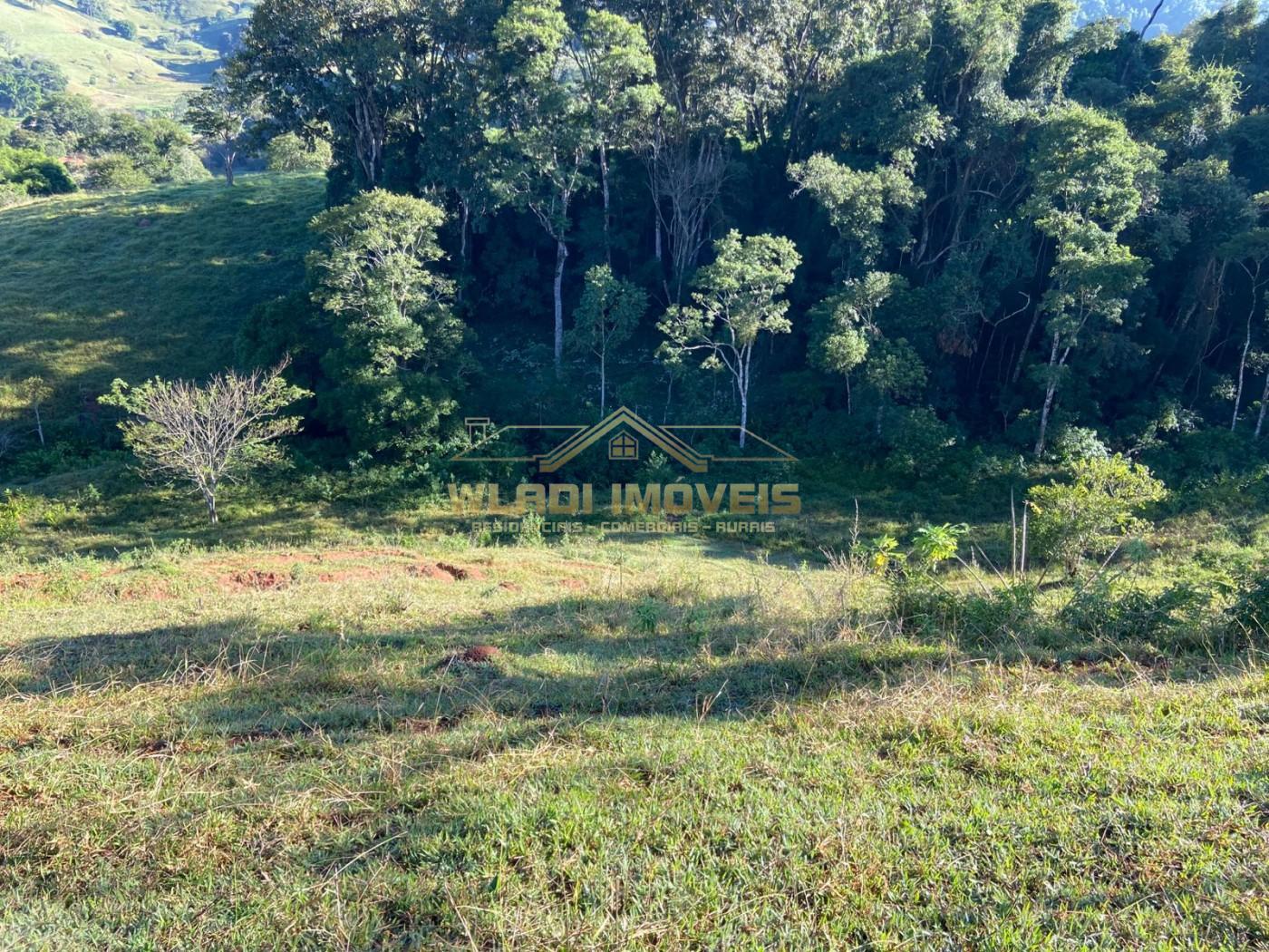 Terreno, 1 hectares - Foto 3