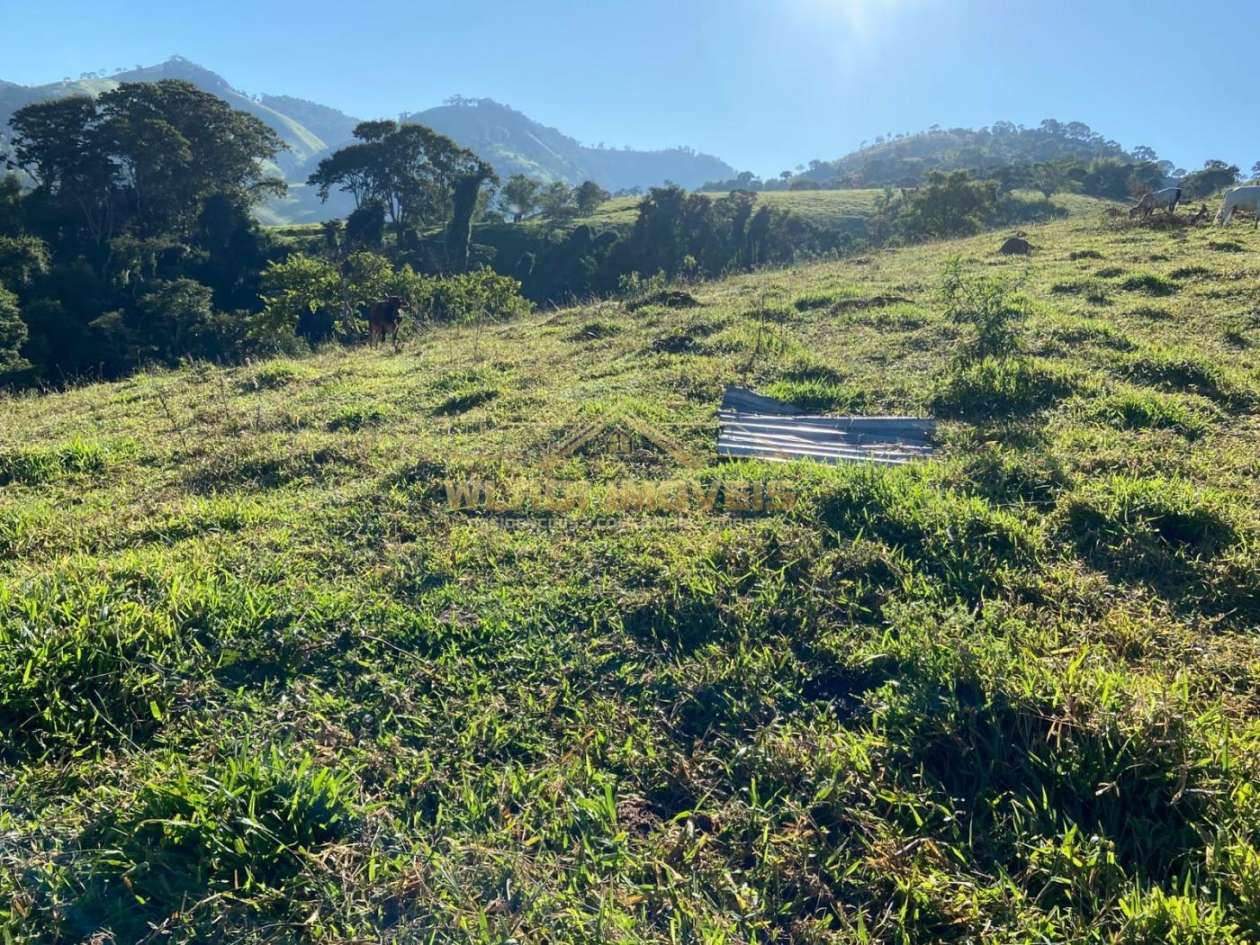 Terreno, 1 hectares - Foto 6